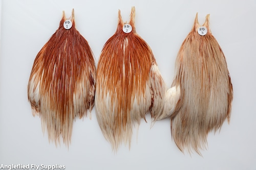 【METZ】 COCK NECK HACKLE Rasty Dun Grade 3