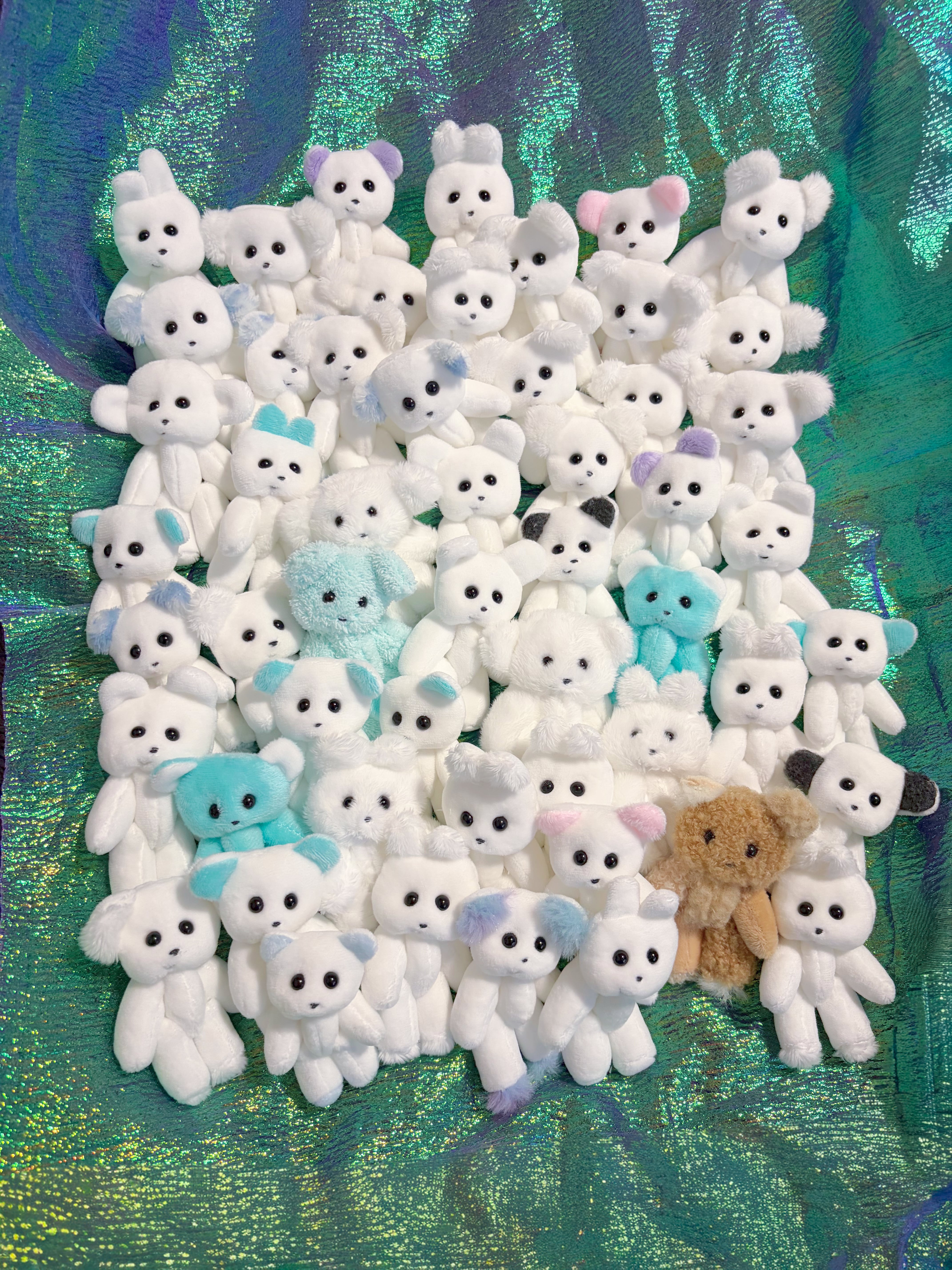 作家 くまさん2体＋ 洋服多数 ぬいぐるみ ハンドメイド ぽっちゃりクマさん ふたりめが完成しました ひとりでも まぁまぁな