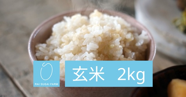 【2023年新米】玄米：2kg「新潟県産コシヒカリ」