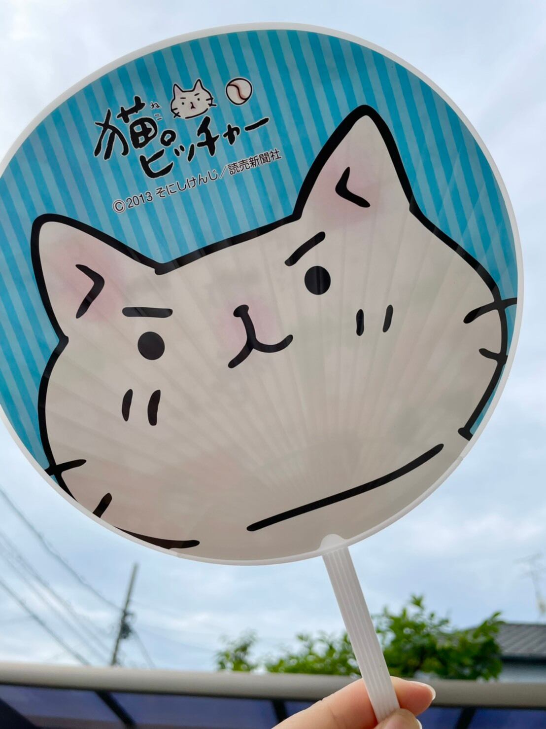 猫ピッチャーうちわvol.1 まんまる小型 | showaprint