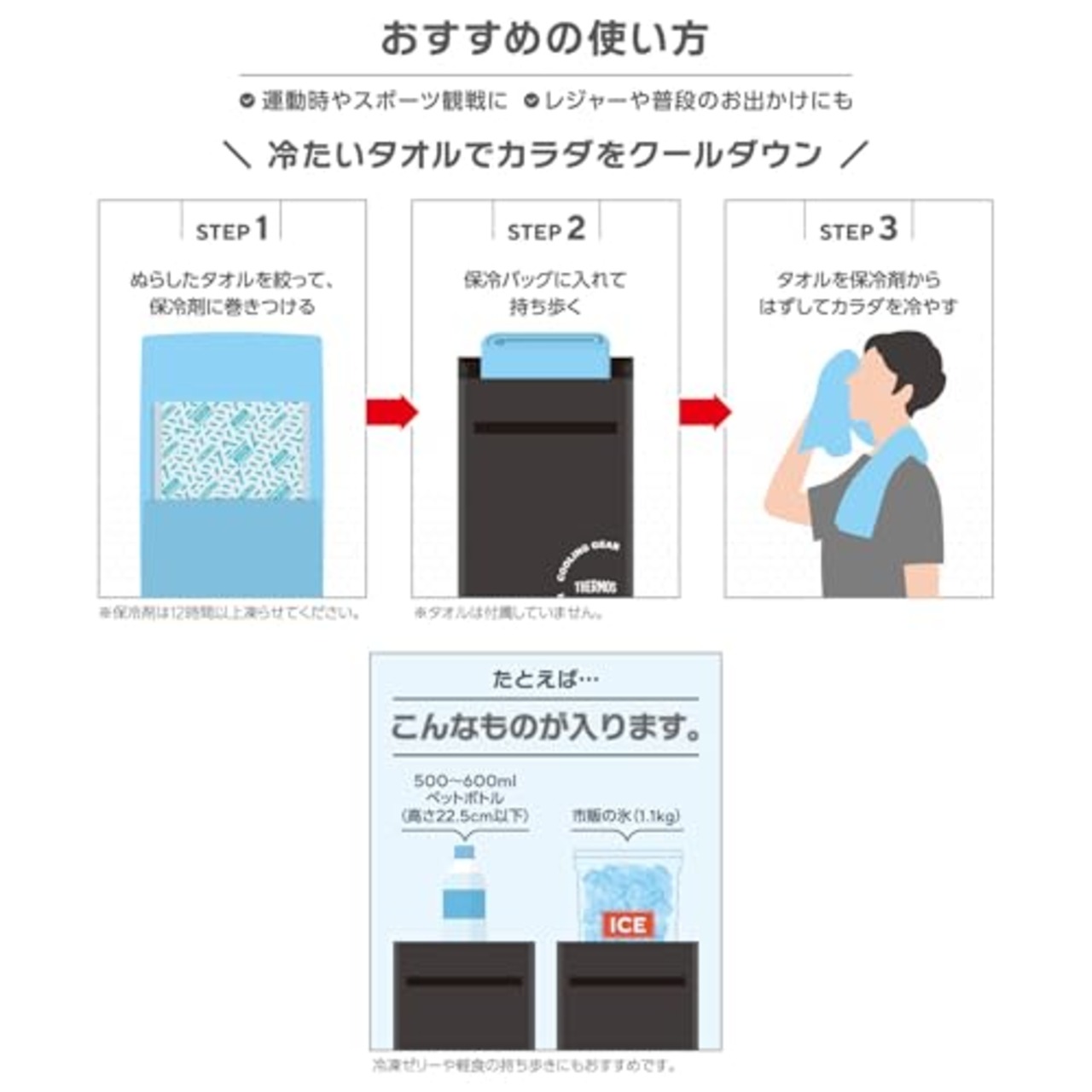 サーモス 保冷バッグインバッグ 3L ベージュ 保冷剤付き スポーツバッグ コンパクト 熱中症対策 REY-0031 BE