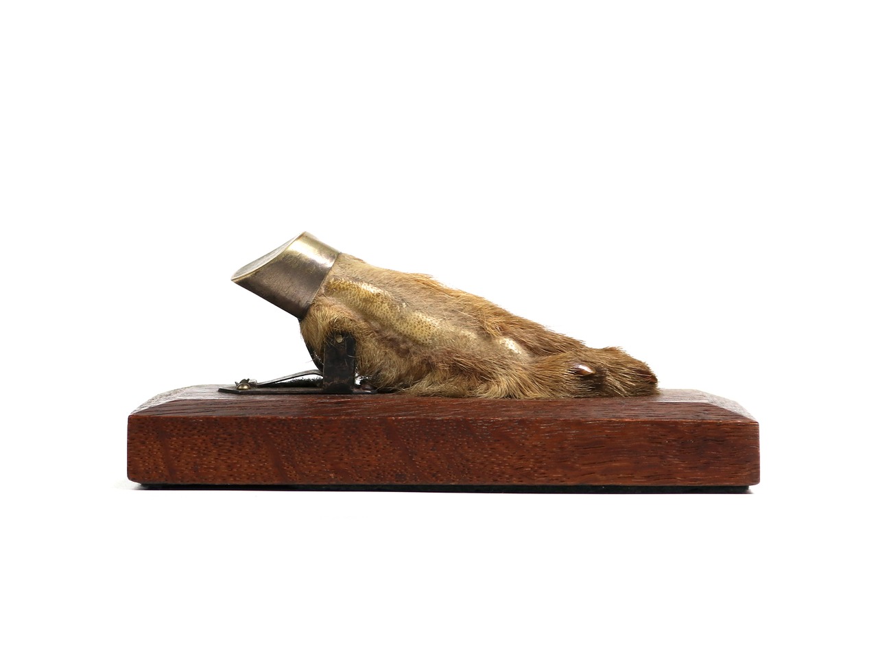 1910s Rabbit foot clip