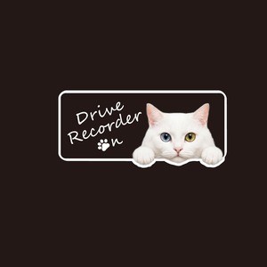 白猫・ホワイト・白・猫・CAT・cat・ドライブレコーダー・ドラレコステッカー・撮影中・車・横型・自動車・ステッカー・インクジェット印刷・屋外用・猫好き・ドライブグッズ・監視しています・おもしろい・かわいい・おしゃれ・モノトーン・肉球・日本製・3Mシート
