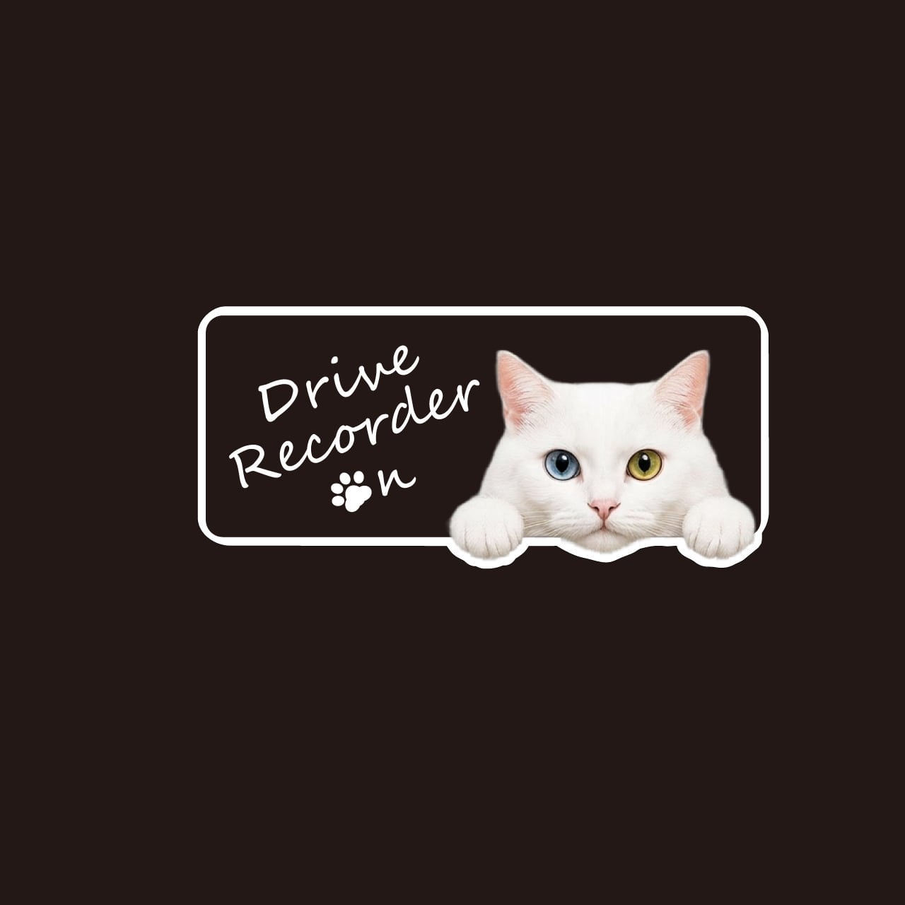 白猫・ホワイト・白・猫・CAT・cat・ドライブレコーダー・ドラレコステッカー・撮影中・車・横型・自動車・ステッカー・インクジェット印刷・屋外用・猫好き・ドライブグッズ・監視しています・おもしろい・かわいい・おしゃれ・モノトーン・肉球・日本製・3Mシート