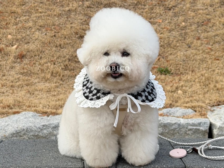 floral cape S ~ L / 犬用 ケープ レース 花柄 アクセサリー 首輪 バンダナ ドッグウェア スカーフ 可愛い 小型犬 中型犬
