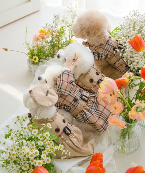 《予約》№PM0009 トレンチワンピハーネス