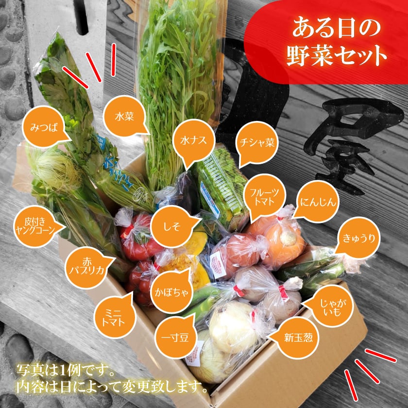 使いやすい定番野菜　おまかせ17品セット【送料無料】　新鮮野菜とフルーツのお店　旬屋