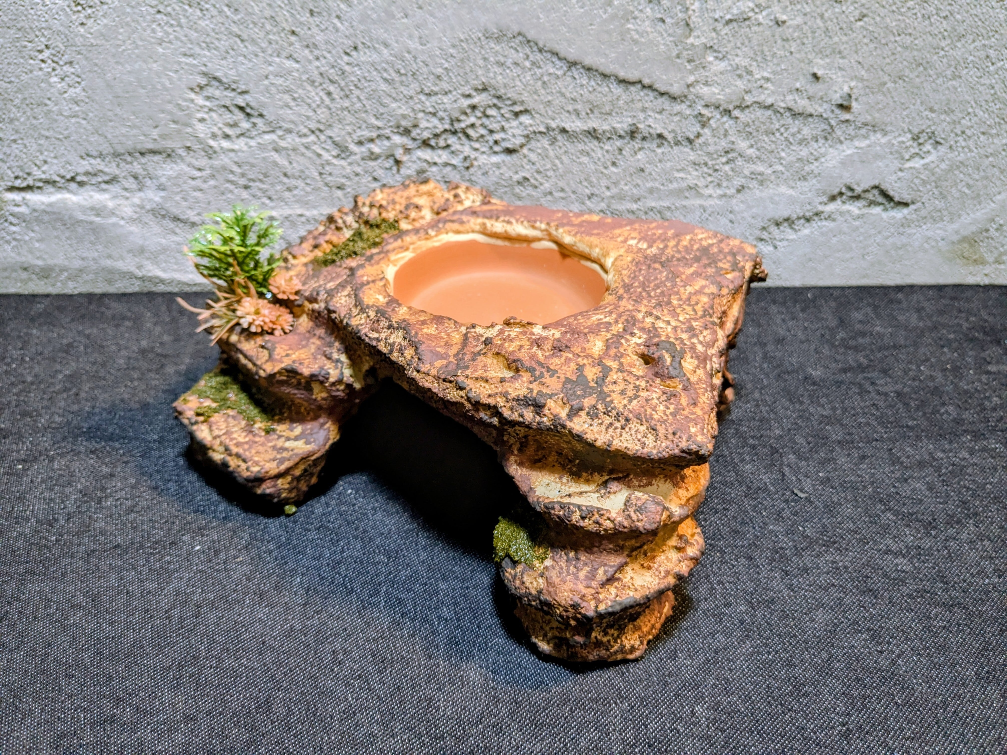 爬虫類用造形アート ともえ屋