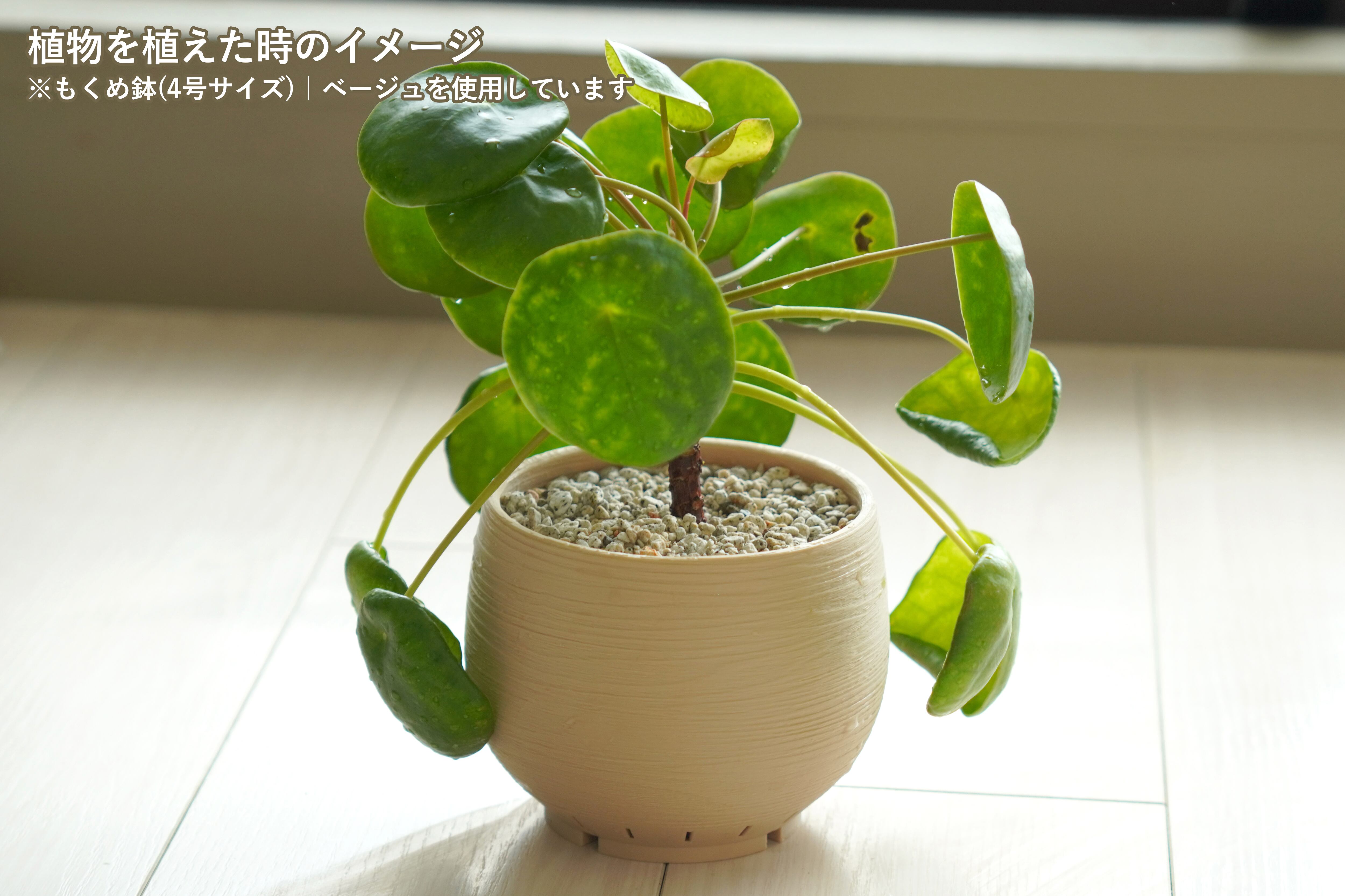 もくめ鉢(4号サイズ)｜ベージュ | みどりのグリーンSHOP
