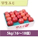 【りんご】早生ふじ 5kg（16〜18個）