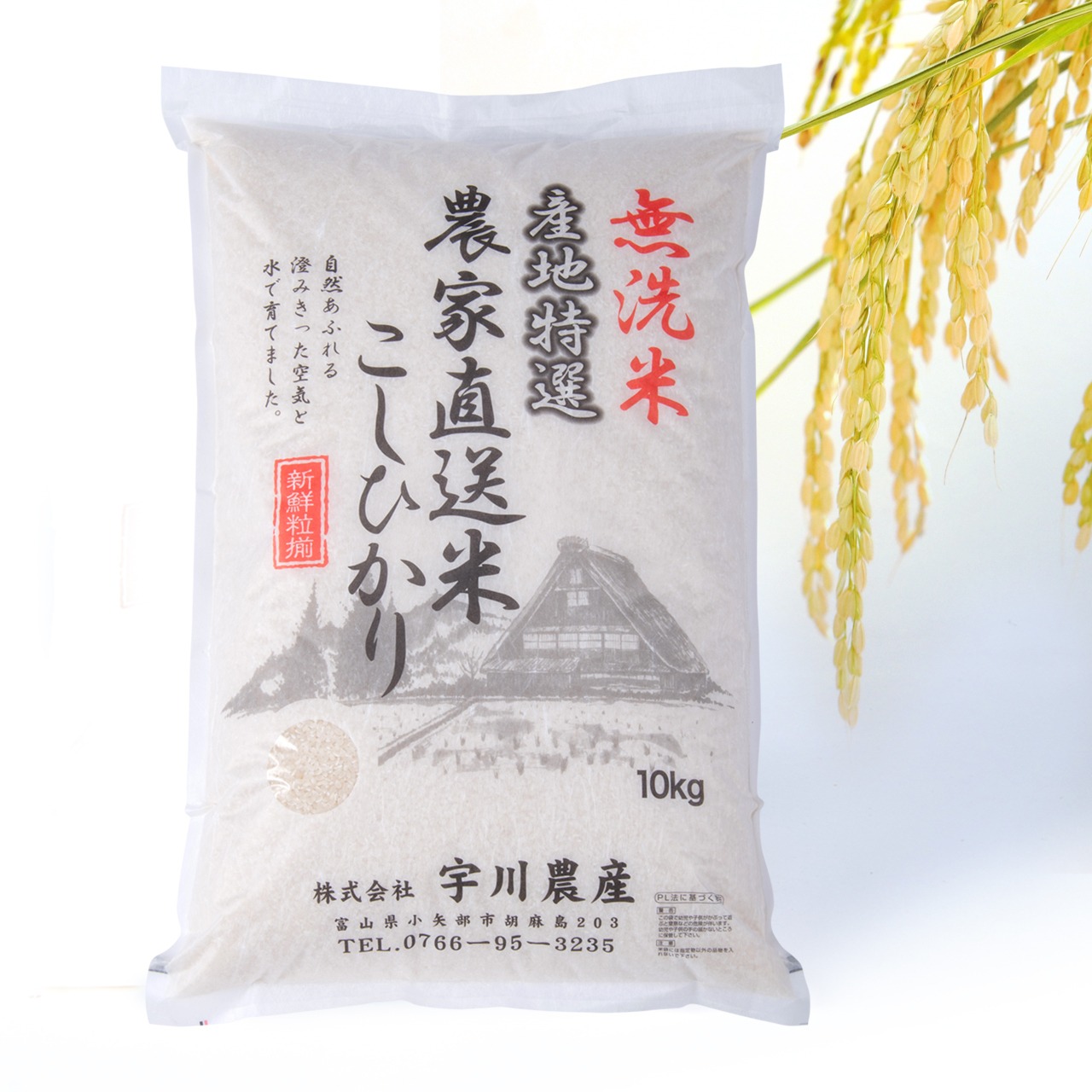 【10Kg】令和7年産こしひかり 無洗米 画像1