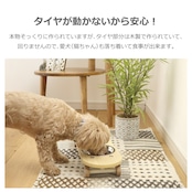 SK8 PLATE Lサイズ