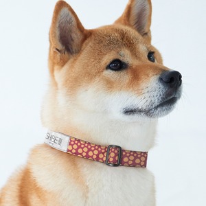 COLLAR PAW DOT【MAROON】犬用首輪