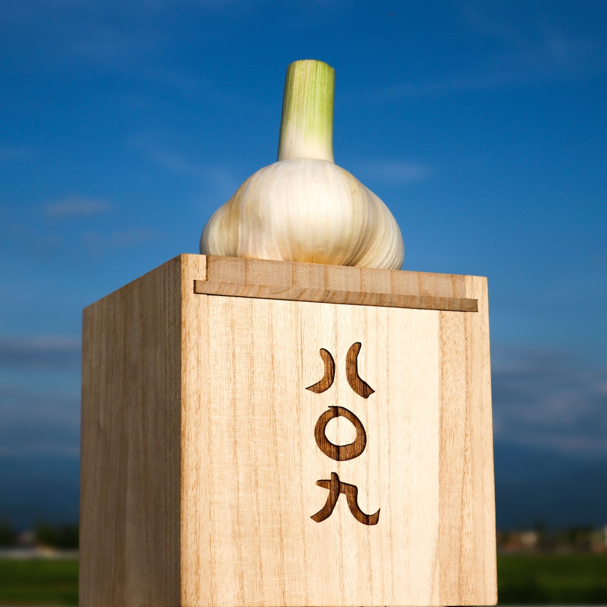 最高級】無臭・生ニンニク (1玉 約300g・木箱入り) | やおや はちまるく