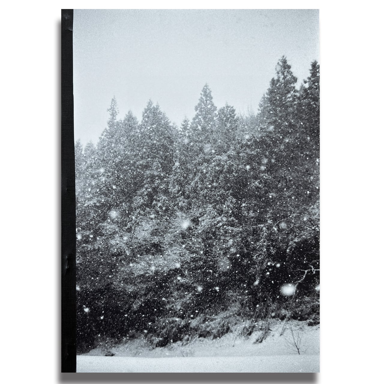 写真集 雪 | beppurintaro_store