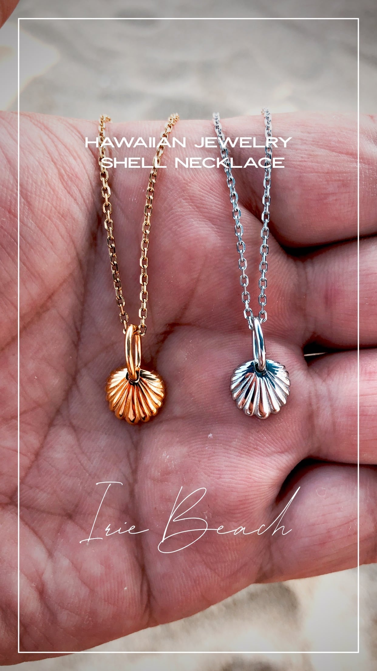 シェルシリーズ | IRIEBEACH