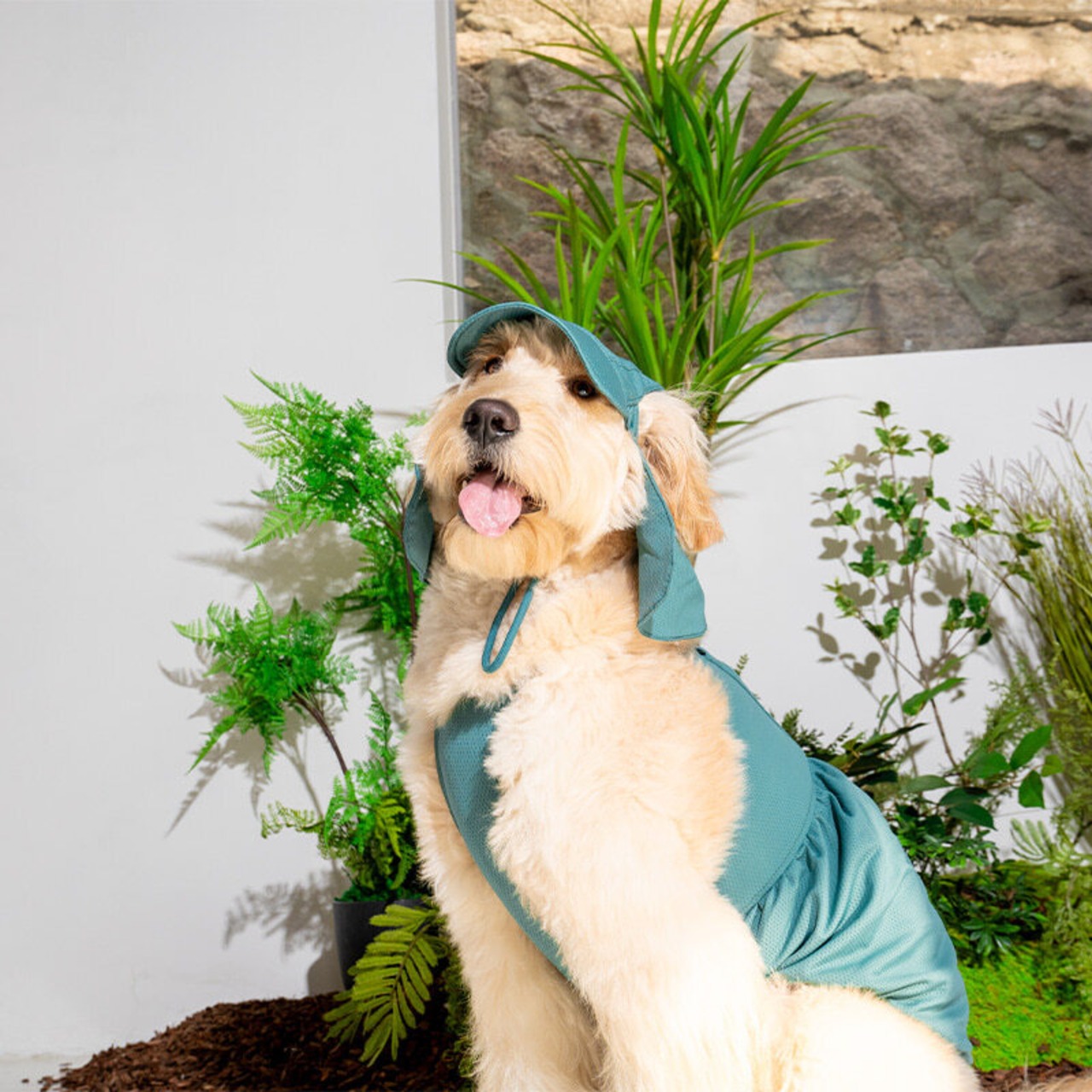 【PUPPYGALLERY公式】Jelly Bear Tank Top　Ｍ-XL