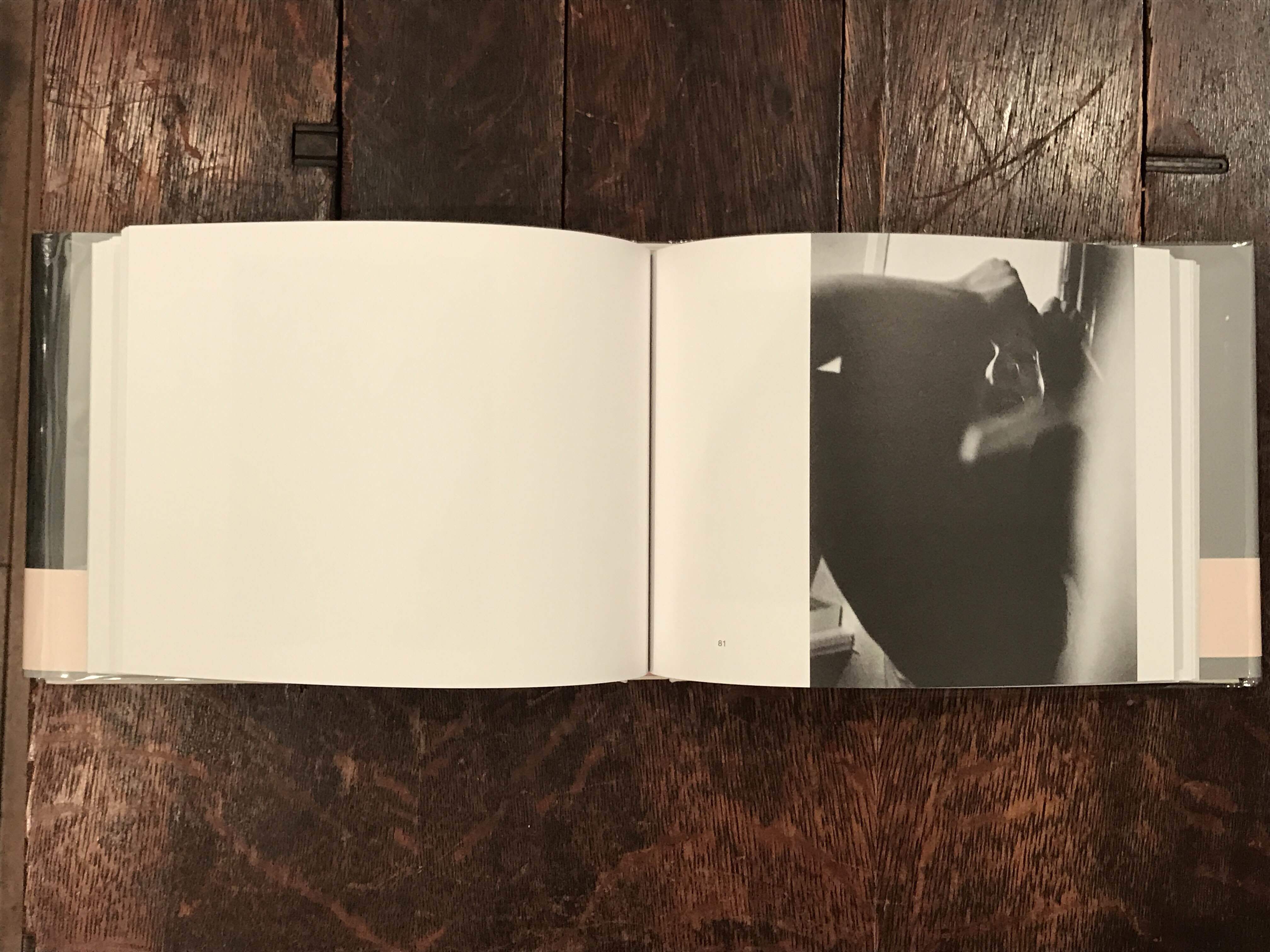 WOMEN / ソール・ライター(Saul Leiter) | 百年