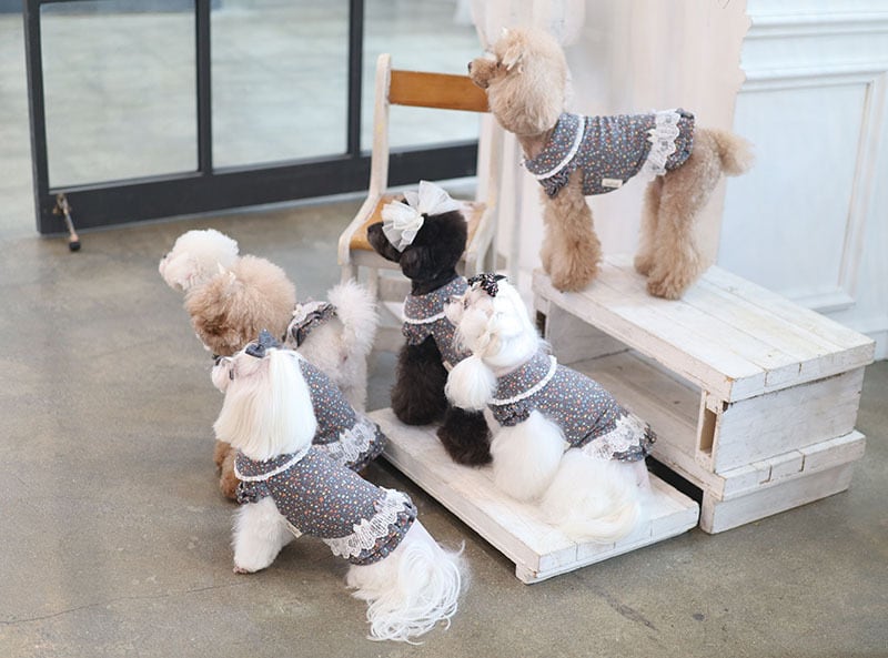 フラワーワンピース / 犬服 ワンピース お出かけ 小型犬 中型犬 可愛い