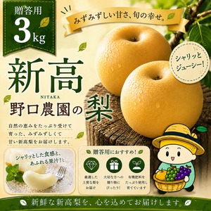 ⬛︎贈答用 新高 3kg