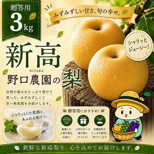 ⬛︎贈答用 新高 3kg