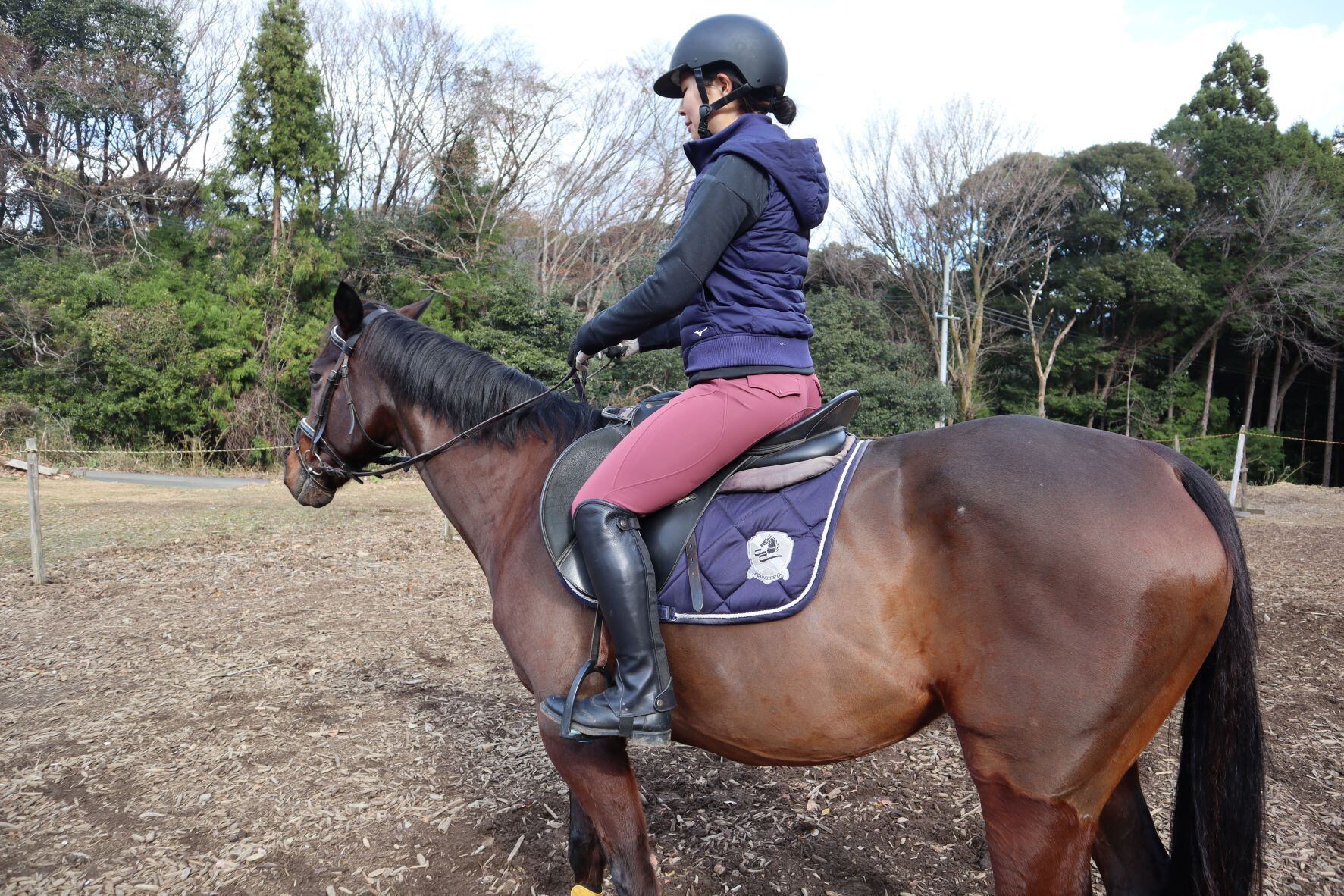 Shamrock オールシーズンキュロット ピンクグレー | シャム