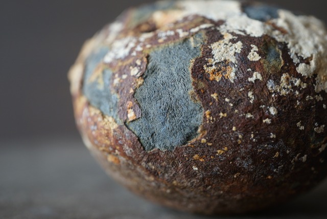 大分県産ヴィヴィアナイト Vivianite 1664