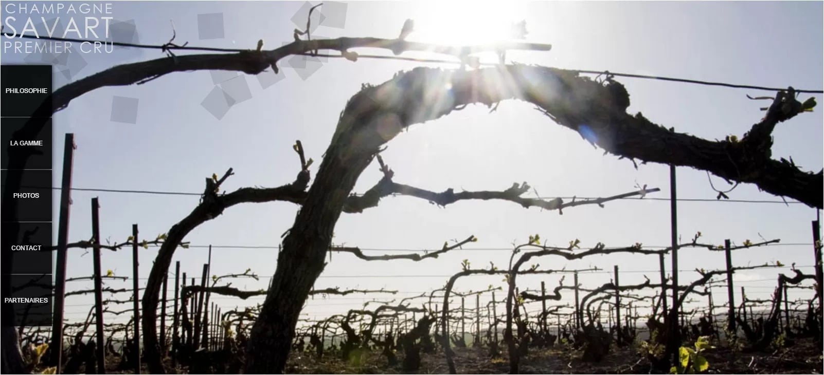 ワイン通販のWineLifeDesign【ワインライフデザイン】｜選りすぐりの