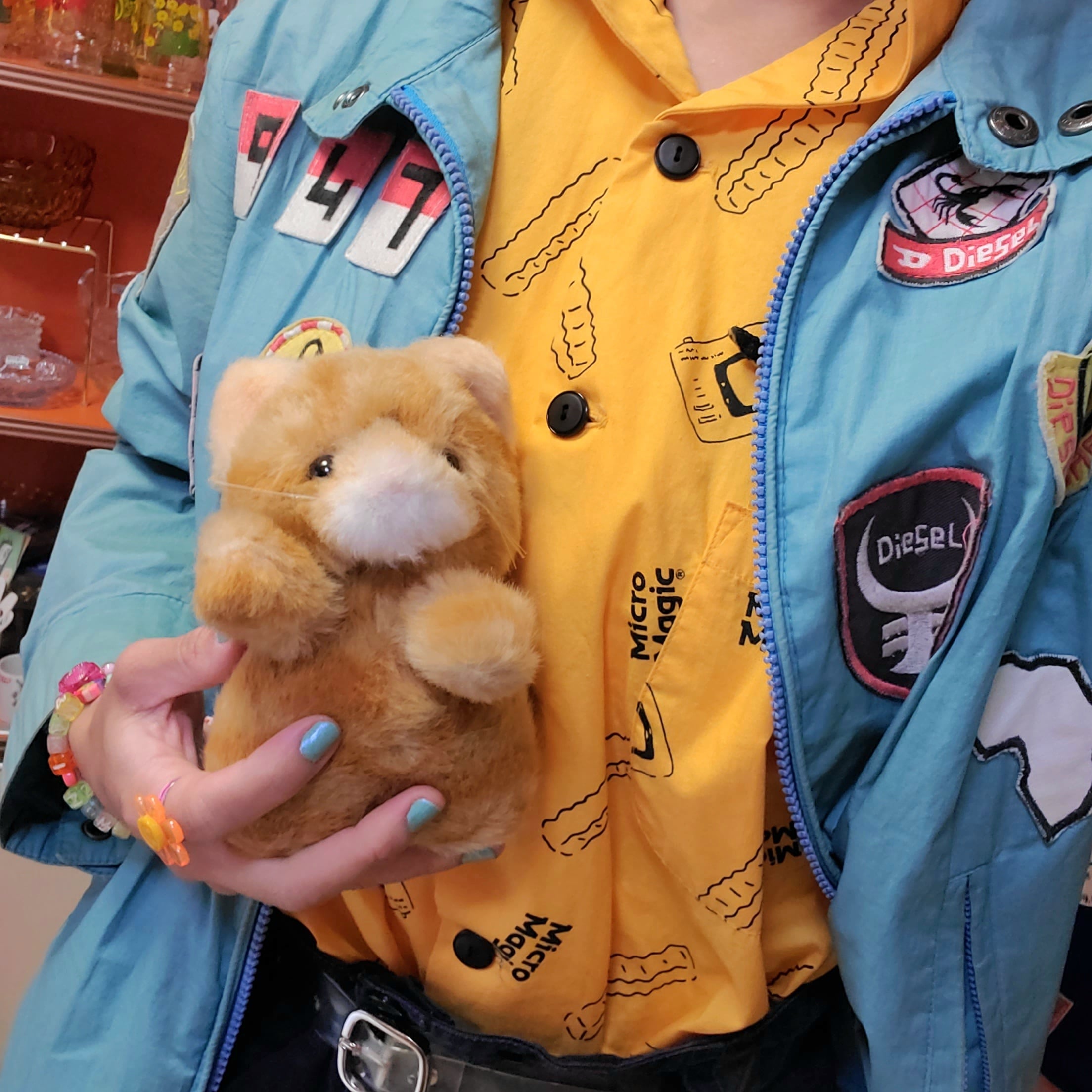 ❁子猫物語 チャトランぬいぐるみ❁ | レトロ雑貨屋いゆたこよ