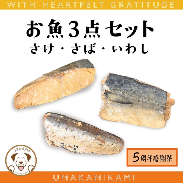 【感謝祭】お魚3点セット(さけ・さば・いわし)3種 各 1個