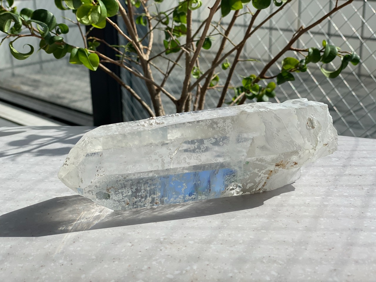 男たちの大願成就