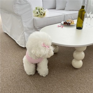 予約【pecoramou select】ribbon hair pin