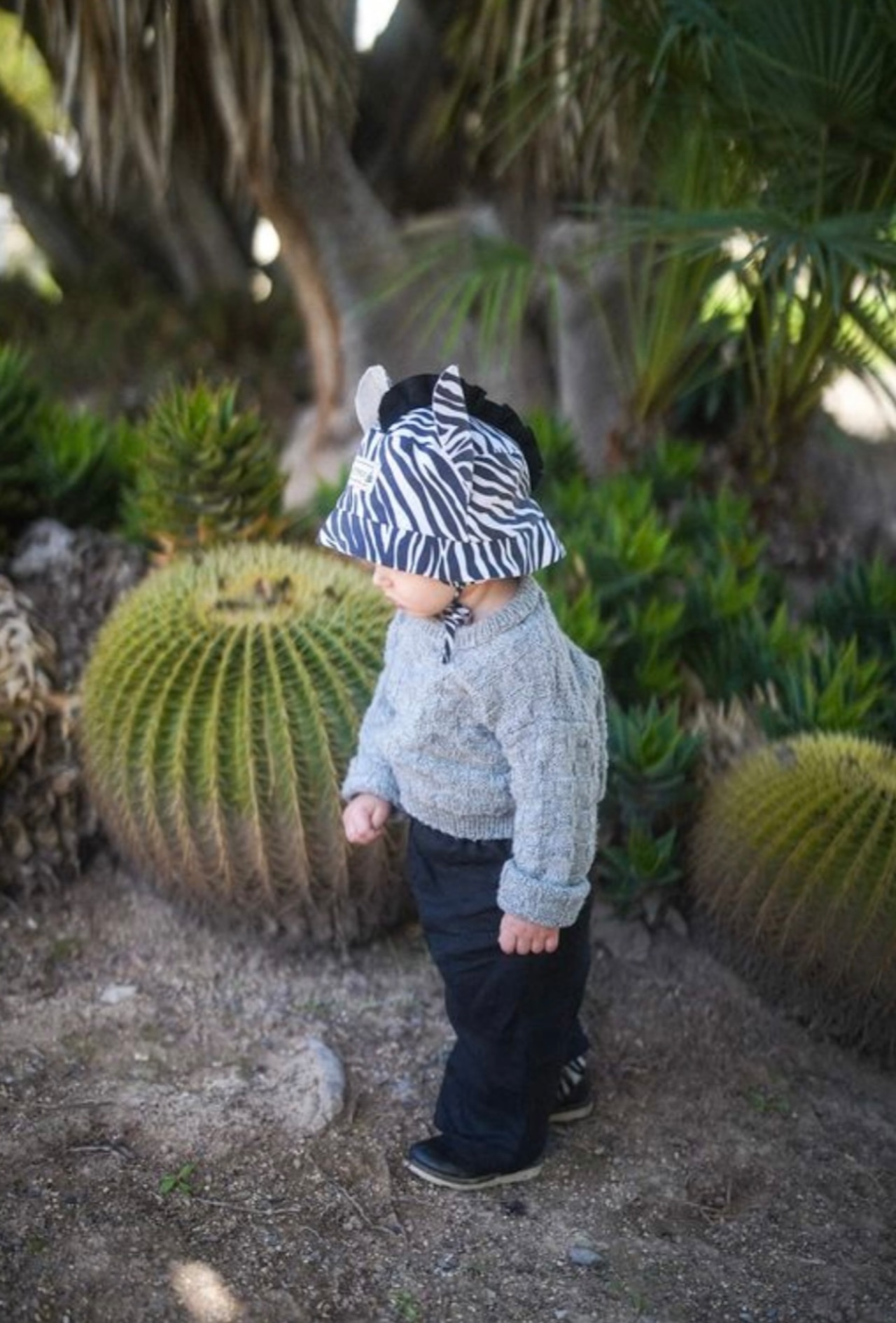 【26SS】SHOMKA / ZEBRA BONNET or HAT