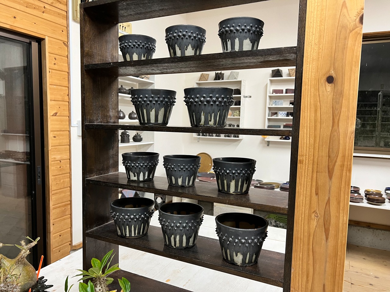 未来薩摩 圭介窯 ash限定 KAS オリジナル鉢 5号