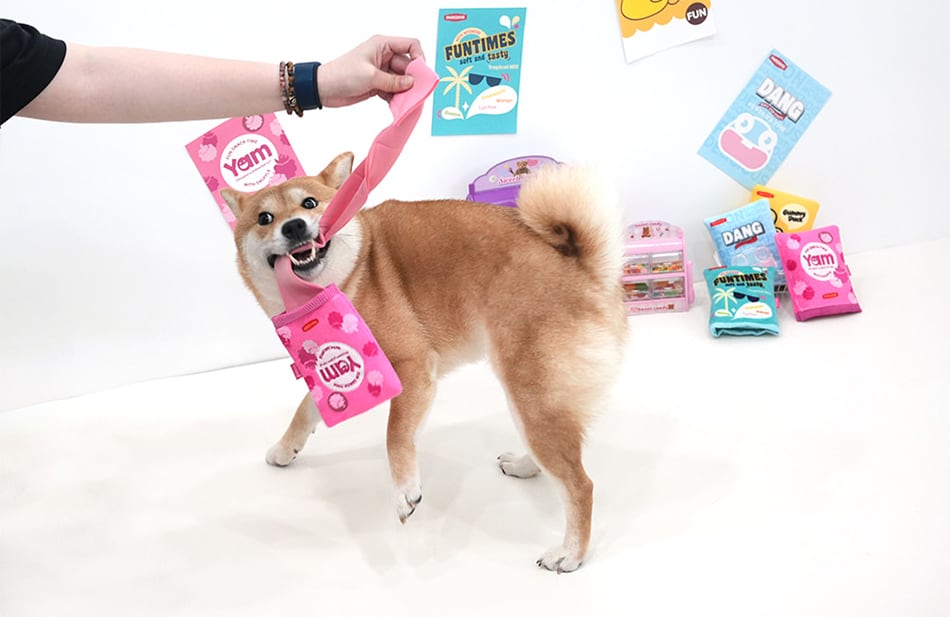 jellychu pocket toy / ペット 犬 おもちゃ カシャカシャ 知育玩具 ノーズワーク おやつ隠し 可愛い わんちゃん おもちゃ ストレス解消 toy16