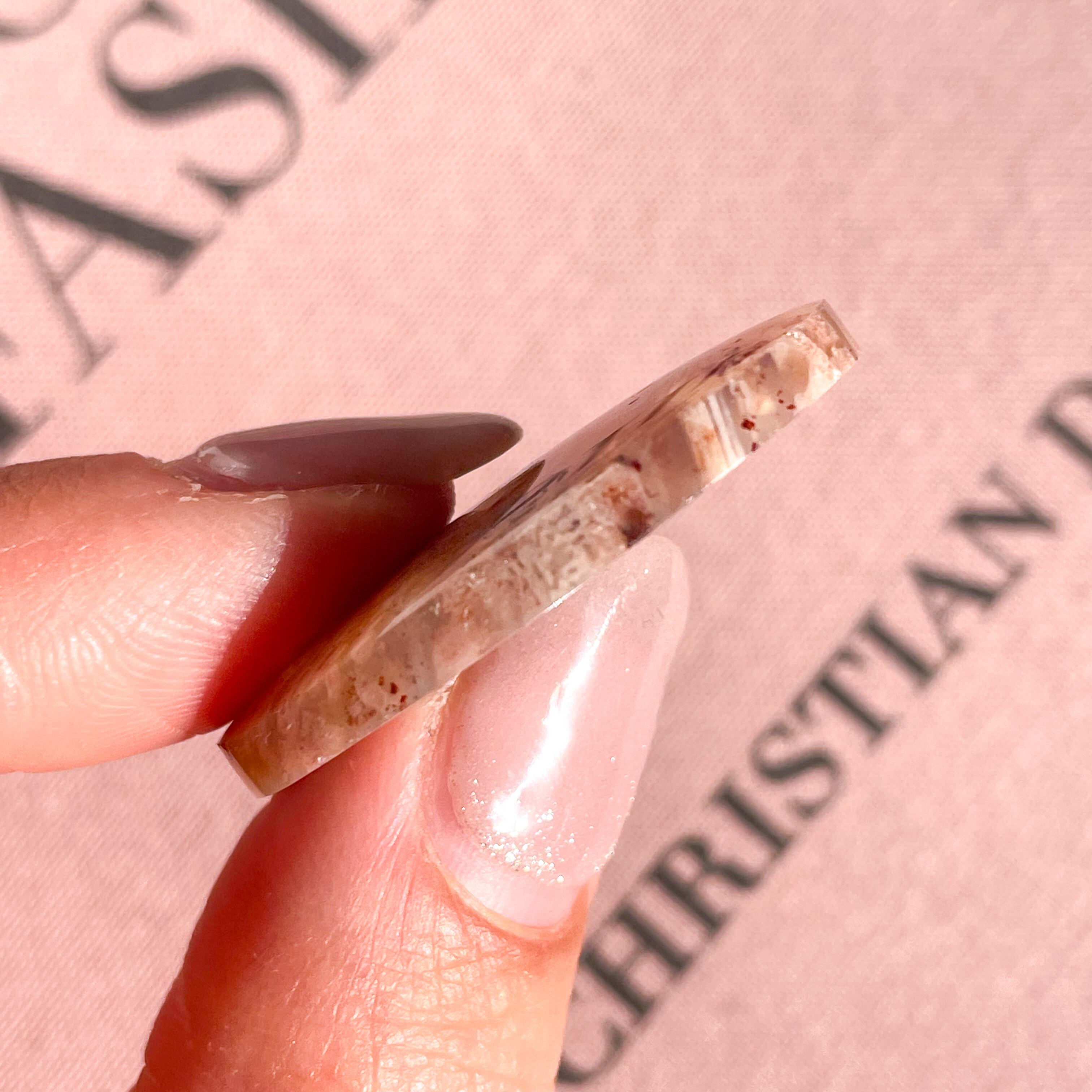 Fossile Coral Oval 2✧ フォッシルコーラル (化石珊瑚) | FLUXY
