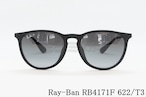 Ray-Ban 偏光 サングラス RB4171-F 622/T3 ERIKA エリカ 54サイズ ウェリントン レイバン 正規品