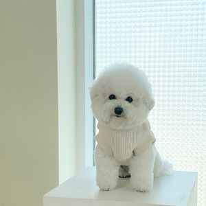 【即納】EYOU ワッフル ハイネック ベスト｜ホワイト