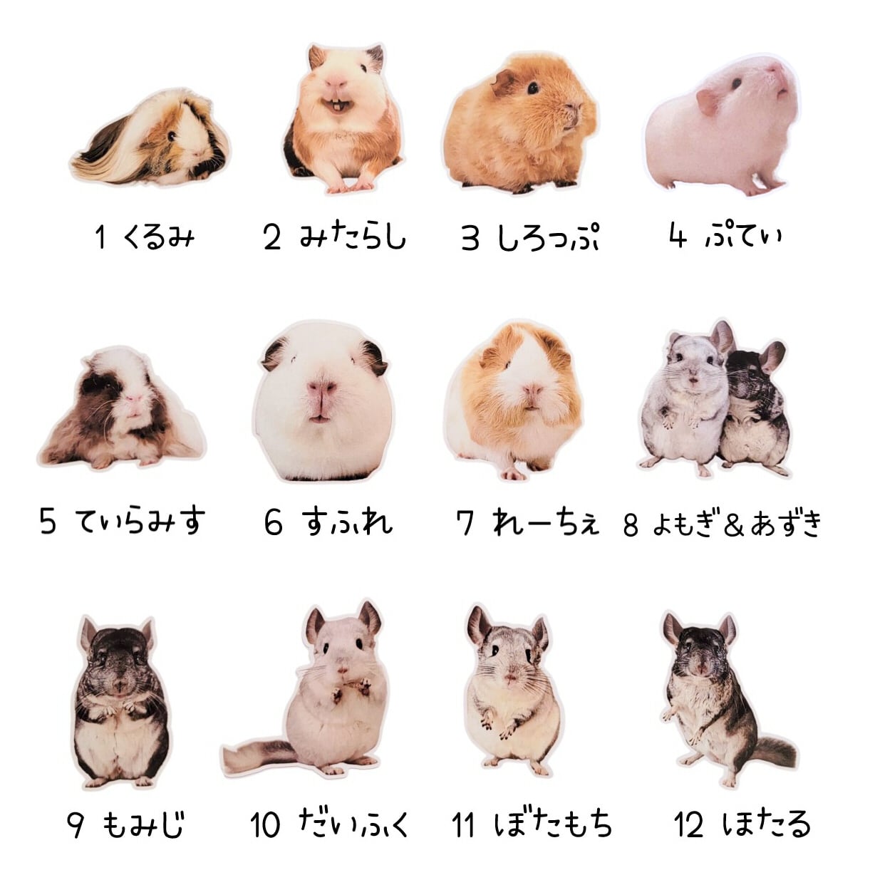 もふかふぇ 選べるステッカー | mofucafe