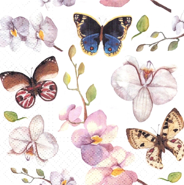 2022春夏【PAW】バラ売り2枚 ランチサイズ ペーパーナプキン Orchidea Butterfly ホワイト