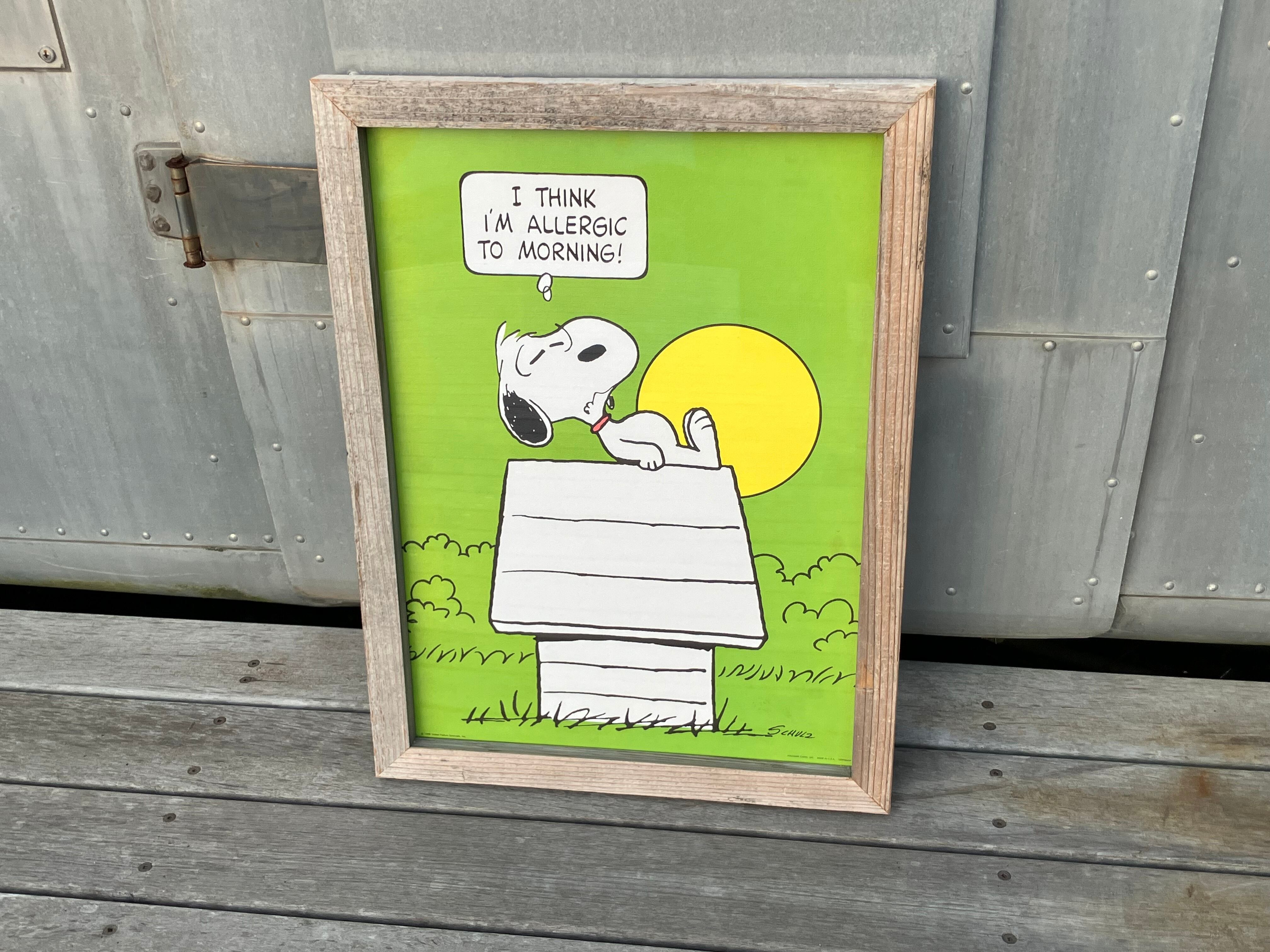 70s PEANUTS MORNING ALLERGIC POSTER FRAMING