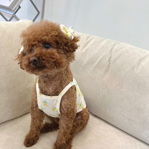 予約【pecoramou select】Rape Seed Eyelet Naciti