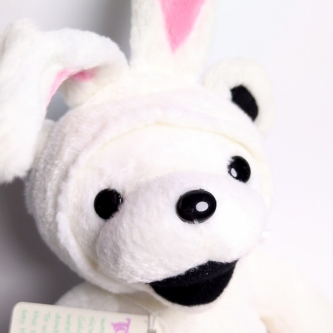 ☆DEADSTOCK / VINTAGE☆ 2004年製 【 Grateful Dead( グレイトフルデッド )】7inch 7インチ / WHITE RABBIT  ホワイトラビット / 1962年5月7日 〚アメリカン雑貨 アメトイ〛