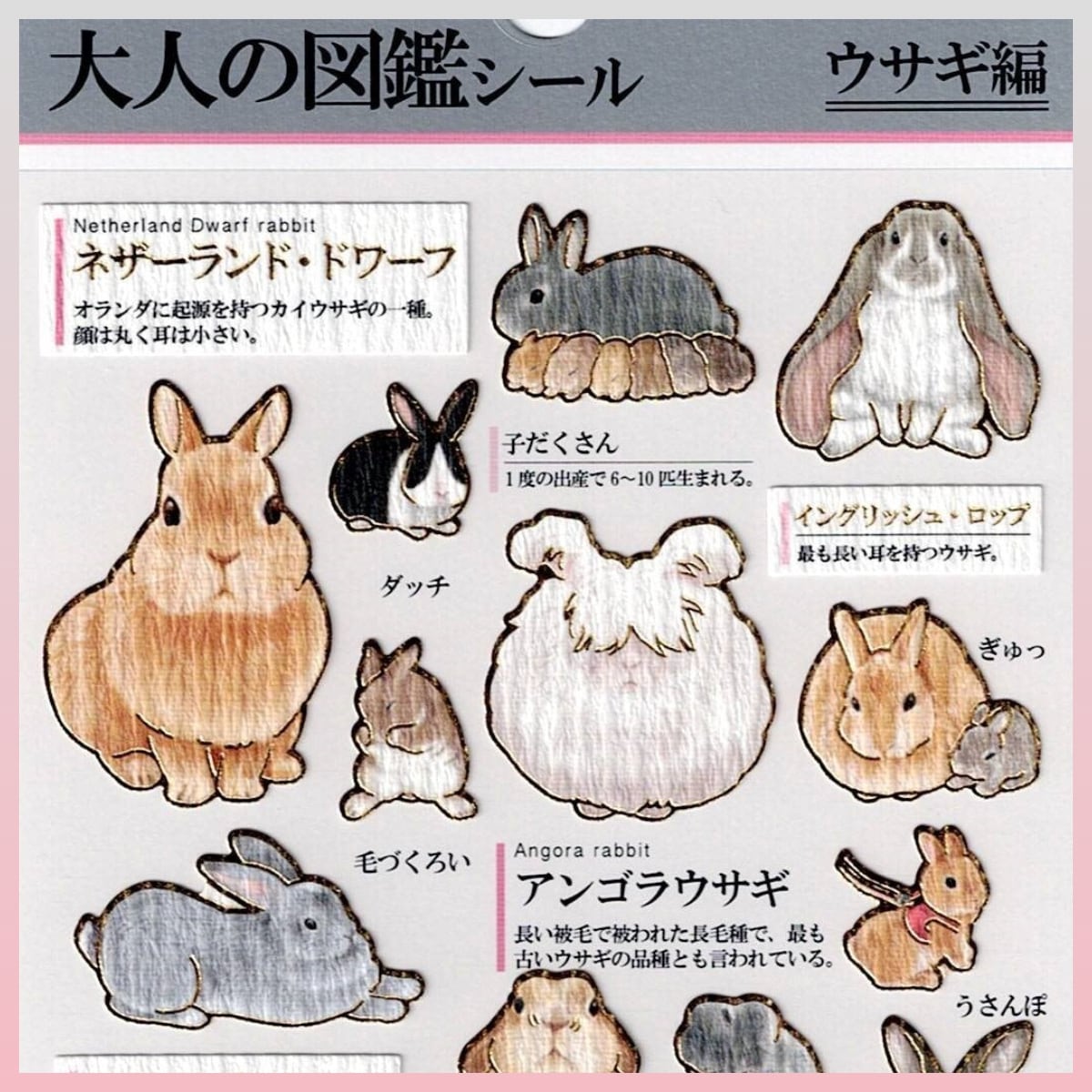 大人の図鑑シール うさぎ | うさぎセレクトショップ森音