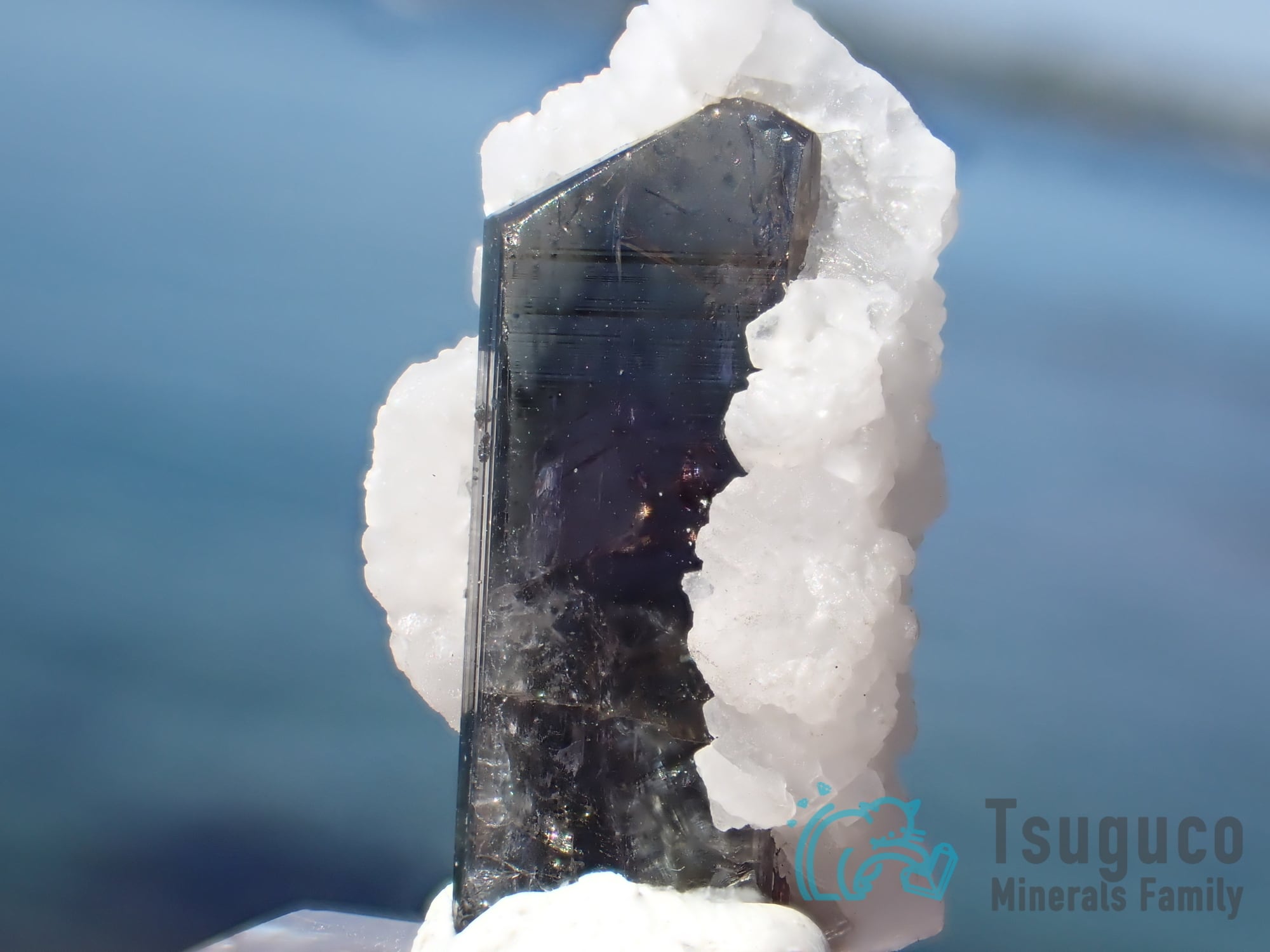 タンザナイト（ゾイサイト）原石　鉱物標本　天然石 ゾイサイト（灰簾石 ※タンザナイト含む） | つぐこみねらるず ｜鉱物