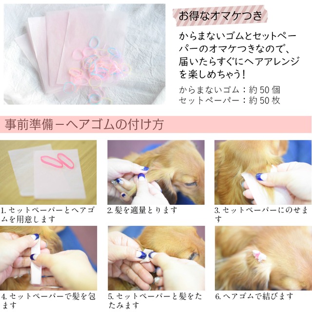 犬 ヘアアクセサリー リボン ヘアピン 縁 ライン 4点セット C Hapi Co