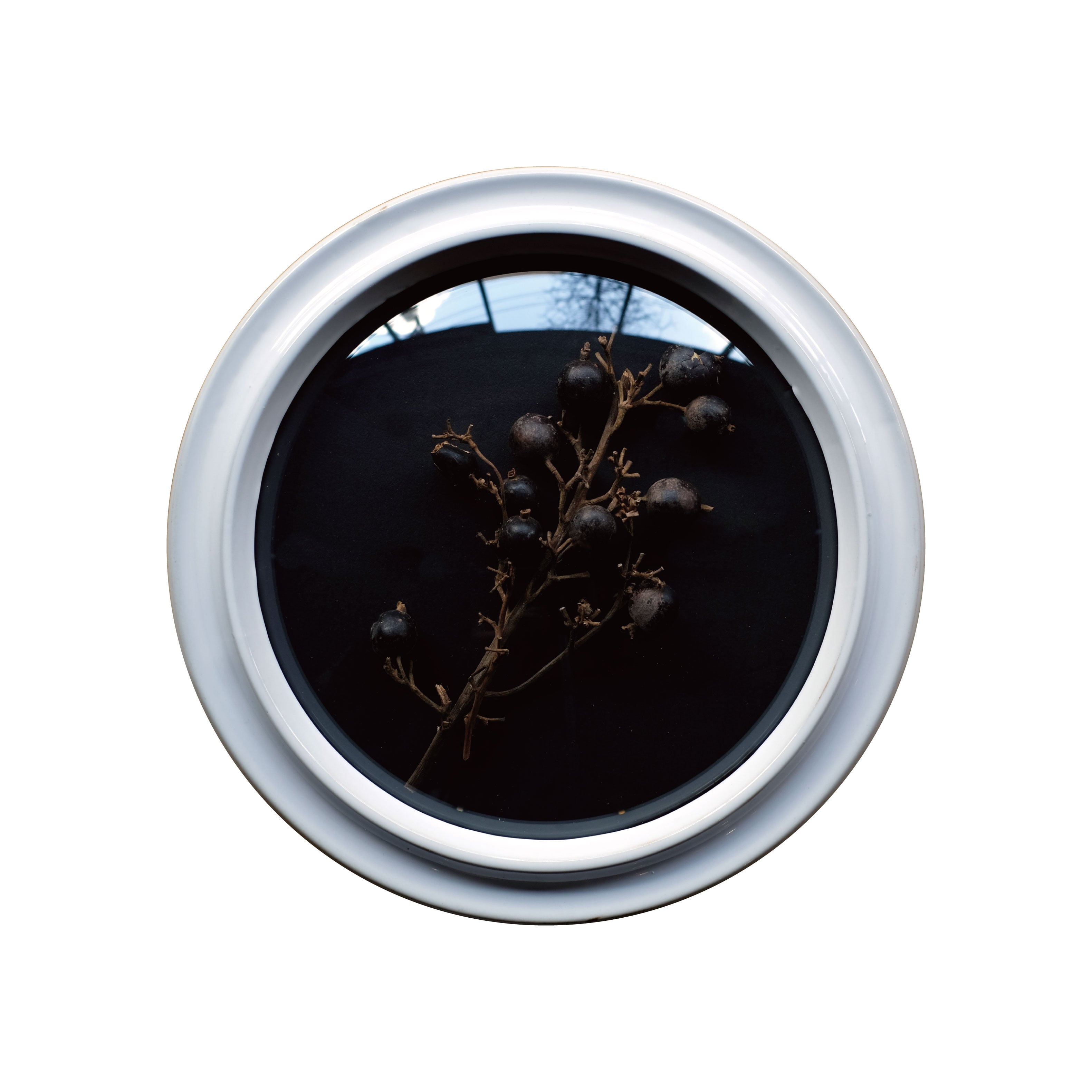 Convex Glass Case DF (L) | WEST VILLAGE TOKYO