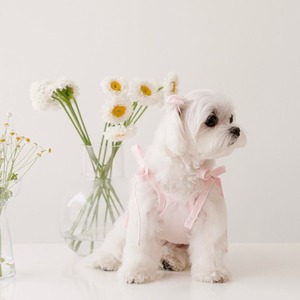 即納【MY LITTLE DOG 】リボンフリルキャミソール