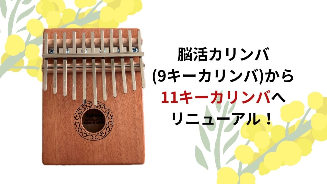 ホスタロ ソリッドカリンバ 17キー（ケース付） | おてがるカリンバ