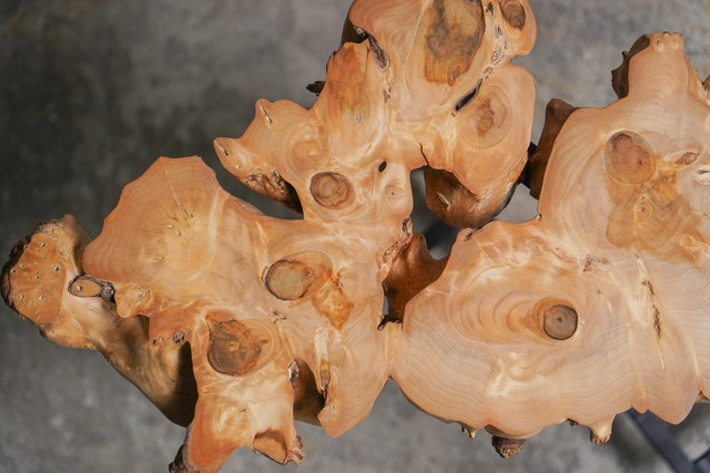 銀杏の小さいコーヒーテーブル